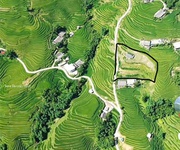 Bán đất 1.235m  bản tả van, sa pa   316m  đất ở, view ruộng bậc thang đẹp