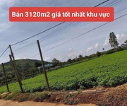 Bán 3120m2 đất xã tân hội đức trọng lâm đồng 4 tỷ