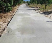 2 Cho thuê vườn xoài tại cam đức - cam lâm 2 Cho thuê vườn xoài tại cam đức - cam lâm