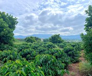 Cần Bán Đất Ven Đà Lạt 308m  Có 268m  Thổ Cư View Núi Đẹp Mặt Tiền 10m
