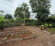 Bán lô dất đẹp 400m2 tại Bà Rịa Vũng Tàu, sổ hồng sang tên nhanh chóng