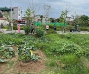 Rẻ nhất khu tái định cư thư lâm, đông anh - vị trí đẹp - gia đình cần vốn nên bán gấp