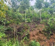 Đất đẹp - giá đầu tư    chính chủ cần bán nhanh  2 lô đất rẫy tại h. đăk glei, t. kon tum