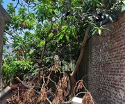 Bán đất đại áng 30m , ô tô vào đất, giá 3,5 tỷ