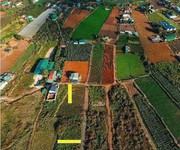 Bán 128m2 đất gần hồ nam sơn đức trọng  lâm đồng 1 tỷ 300 triệu