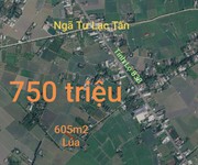 1 Bán lô đất lúa chuyển thổ đường bê tông 2,5m giá 750 triệu 1 Bán lô đất lúa chuyển thổ đường bê tông 2,5m giá 750 triệu