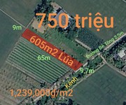 Bán lô đất lúa chuyển thổ đường bê tông 2,5m giá 750 triệu