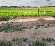 T2680   cơ hội đầu tư trang trại thu nhập 200tr/tháng sát bv an nhơn tây - giá 15.x tỷ