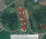 L2682   1.8ha đất trồng sầu riêng sát chợ truông mít - giá 5.x tỷ