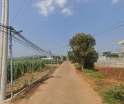 Bán đất liên nghĩa lâm đồng giá 2ty9-  dt242m2