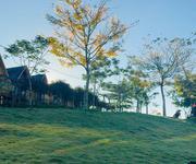 4  Sở hữu đất Bảo Lộc   View đồi chè, giá chỉ từ 700 triệu 
