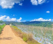 Hẻm phúc thọ, lâm hà, lâm đồng - 7.500m2