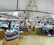 3 Cho thuê/ Bán nhà xưởng may mặc, balo, túi xách   KCN TÂN HƯƠNG, HUYỆN CHÂU THÀNH, TIỀN GIANG   48.