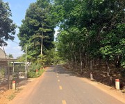 Chỉ 1 tỷ 650 triêu - sở hữu ngay 1 sào đất mặt tiền nhựa   an viễn  xã đồi cũ