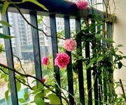 Bán gấp giá rẻ chung cư trần thủ độ 83m, tầng 9, mặt thoáng 10m, 5.7 tỷ hoàng mai.