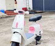 2 Xe Đạp Điện NIJIA Luyuan LY-6S   Thiết Kế Hiện Đại, Động Cơ Khỏe, Đáng Mua 2026