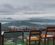 Bán homestay   quán cafe view đà lạt   dòng tiền ổn định   quỹ đất lớn tiềm năng