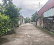 Siêu phẩm nhà vườn gần 400m, đường rộng 5m Nam Đồ Sơn, Hải Phòng