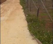 Bán đất đẹp   trung tâm hành chính mới mộc châu