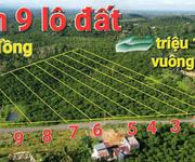 Hot hot   chính chủ cần bán 9 lô đất view đồi tại thôn đông la 2, xã lộc đức, bảo lâm, lâm đồng.
