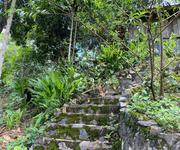 1 Chính chủ bán gấp trang trại 12.415,7m  tại phường thống nhất, tỉnh phú thọ   chỉ cách hà nội