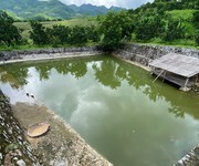 2 Chính chủ bán gấp trang trại 12.415,7m  tại phường thống nhất, tỉnh phú thọ   chỉ cách hà nội