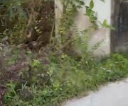 Bán đất vườn theo định giá ngân hàng- 3000m2 chỉ 7t- tỉnh trà vinh lưu thông vĩnh long- bến tre-