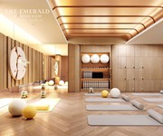 The emerald garden view có thể là một dự án đáng để tham khảo chỉ với 239tr tại thuận an bình dương.