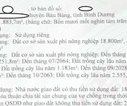 Cho thuê/ Bán nhà xưởng tại BÀU BÀNG, BÌNH DƯƠNG   41.883m