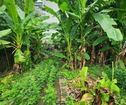 Cần bán 195M đất phố Đại Đồng-phân lô ô tô vòng quanh-mặt tiền rộng-khu vực tiềm năng