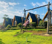 3 cần bán gấp đất 500m bảo lộc chỉ 700 triệu 3 cần bán gấp đất 500m bảo lộc chỉ 700 triệu
