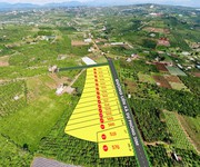 Chính chủ ra nhanh giá tốt 4 lô đất tân hà, lâm hà - mỗi lô hơn 500m2 - chỉ 1,099 tỷ 1 lô