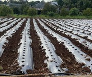 Chính chủ bán 2 lô liền kề full tiện ích trung tâm ngãi giao-châu đức