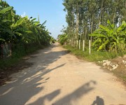 Chính chủ cần bán đất 200m  full thổ cư tại khu đồng dộc - xã bản nguyên, phú thọ