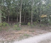 Chính chủ bán 1.335,2m , chỉ 2,7 tỷ - xã tân định, bắc tân uyên, tp. hồ chí minh  mới