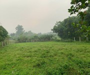 Cần bán nhanh 1.100m  đất view đẹp tại ba vì - làm homestay, second home -7 tỷ