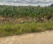 Chủ gửi bán 1,6ha đất cư knia cũ - đường bê tông, có cà phê, nhà và điện nước đầy đủ