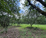 Đất vườn xoài   view ngắm sông La Ngà