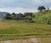 Chính chủ cần bán đất 4,6ha sổ đỏ riêng   cát tiên, lâm đồng   giá chỉ 3 tỷ