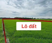 Ngộp cắt lỗ  6.000m  đất củ chi chỉ 1 triệu/m    giá chốt 6 tỷ