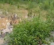 Đất đẹp - giá tốt - vị trí đắc địa gần khu công nghiệp tràng duệ
