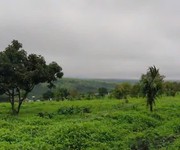 Chuyển nhượng trang trại MIA FARM   GIA LAI 9,6 ha  380m Mặt tiền đường nhựa