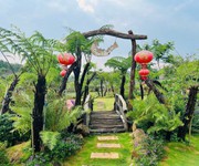 Đất nghỉ dưỡng bảo lộc - view hồ, đồi chè, rừng thông