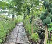 Chỉ với 3ty5 sở hữu khu vườn view sông La Ngà diện tích 3520m  . Thích hợp nhà nghỉ dưỡng lắm á nha