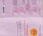 Hot hot   chính chủ cần bán đất vị trí đẹp  tại xã thái mỹ, huyện củ chi, tp hcm