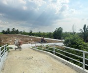 Bán cụm đất 2.671,1m2 tại Tân Đông - 22 lô, giá từ 200 triệu - lô, sổ hồng riêng, đất ở