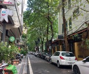 Cần bán nhà phố vip thanh xuân, phân lô vỉa hè, oto tránh, kinh doanh, vp, nhỉnh 30 tỷ