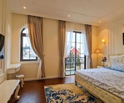 Villa phố mặt tiền ngô thì nhậm   ngang 8m, giá 12,5 tỷ