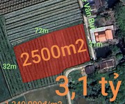 Bán lô đất lúa chuyển thổ xã vàm cỏ gần quốc lộ 50b giá 3,1 tỷ