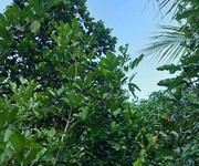 Chính chủ: bán đất sân vườn